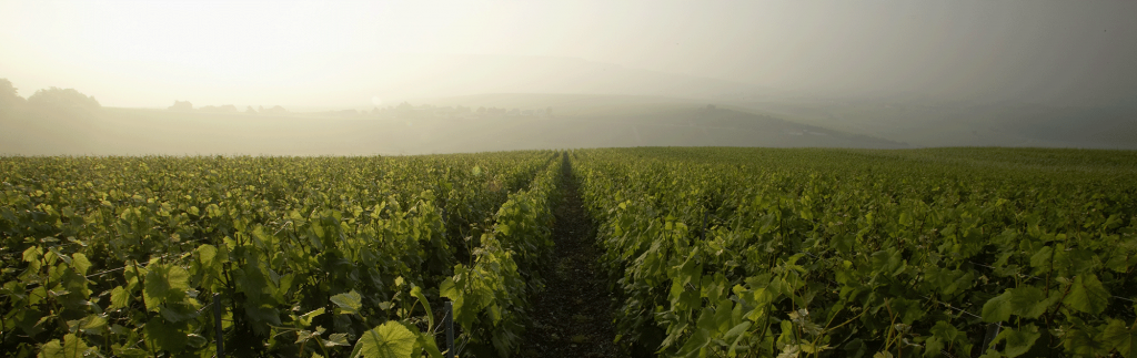 Grand Est, Agence de Voyages, agence réceptive Grand Est, Alsace, Lorraine, Champagne Ardenne, Vosges