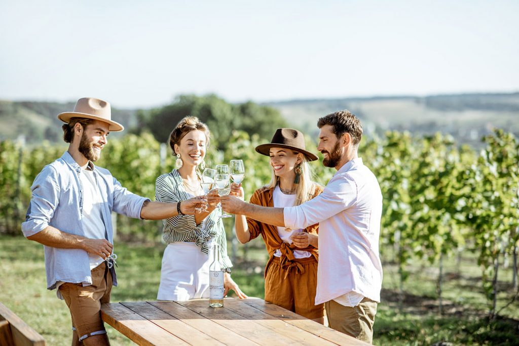 Vignes et Vin en Liberté