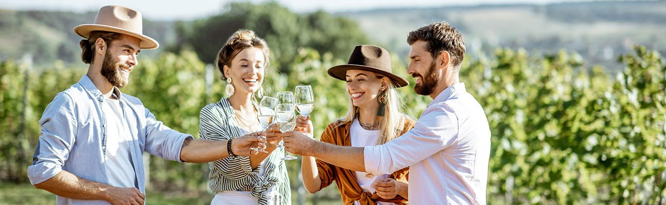 Vignes et Vin en Liberté