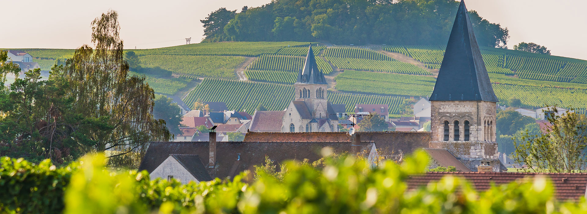 Champagne, Vignoble, Découverte, Voyage, Agence de Voyages, Agence Réceptive, Lisela, Grand Est