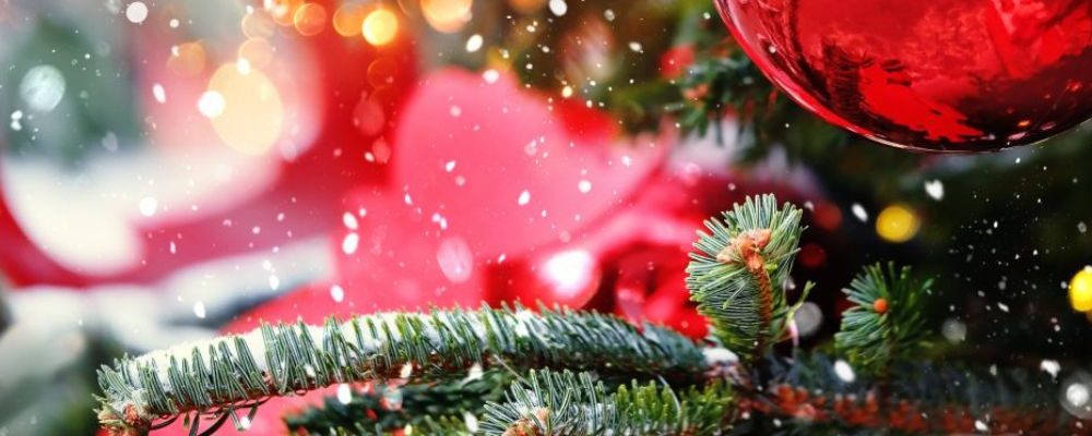 SÉLESTAT, AUX ORIGINES DU SAPIN DE NOËL