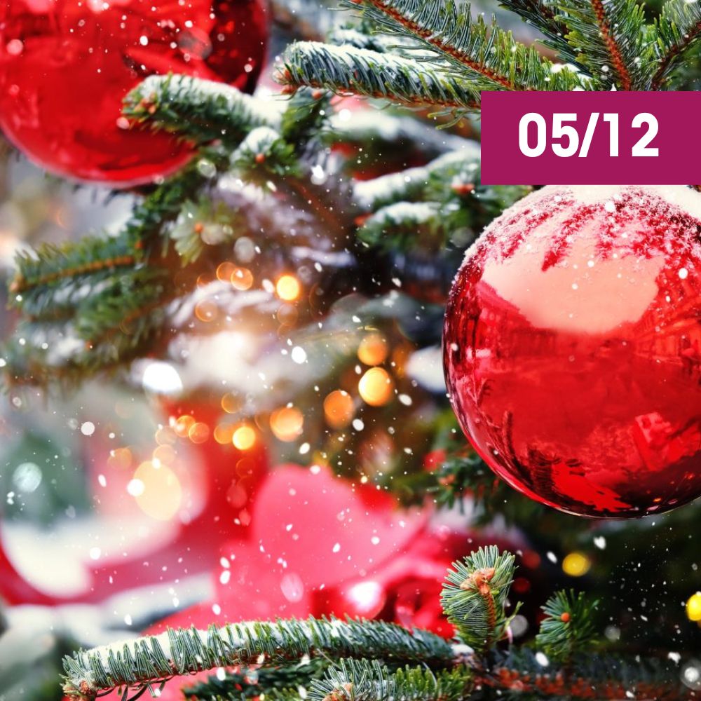 SÉLESTAT, AUX ORIGINES DU SAPIN DE NOËL